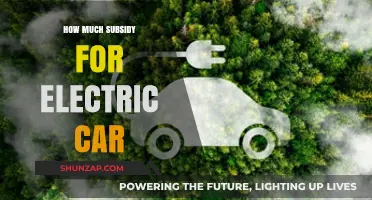 Unlocking Savings: Electric Car Subsidies Explained for Eco-Friendly Drivers