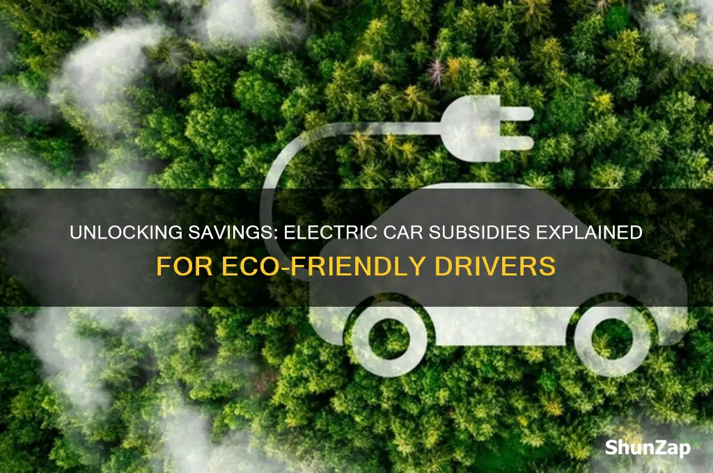 how much subsidy for electric car