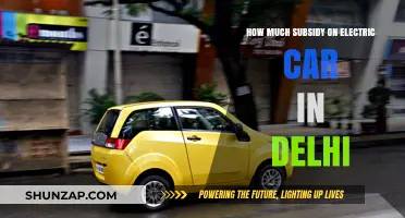 Delhi's Electric Car Subsidy: Unlocking Savings for Green Commuters