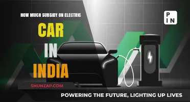 Unlocking Savings: India's Electric Car Subsidy Explained