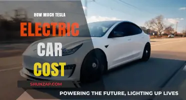 Tesla Electric Car Pricing: Unveiling Costs and Value Insights