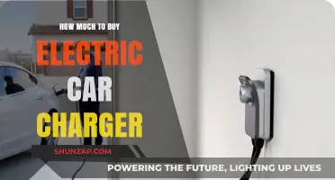 Cost Guide: Buying the Right Electric Car Charger for Your Needs