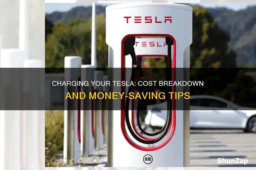 how much to charge a tesla electric car