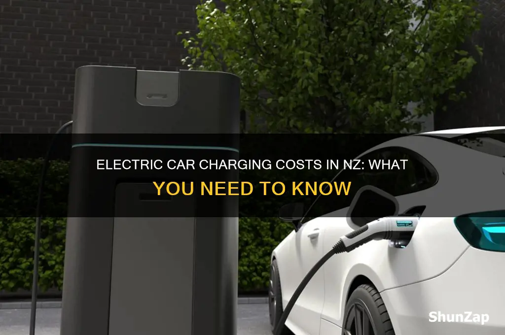 how much to charge an electric car in nz