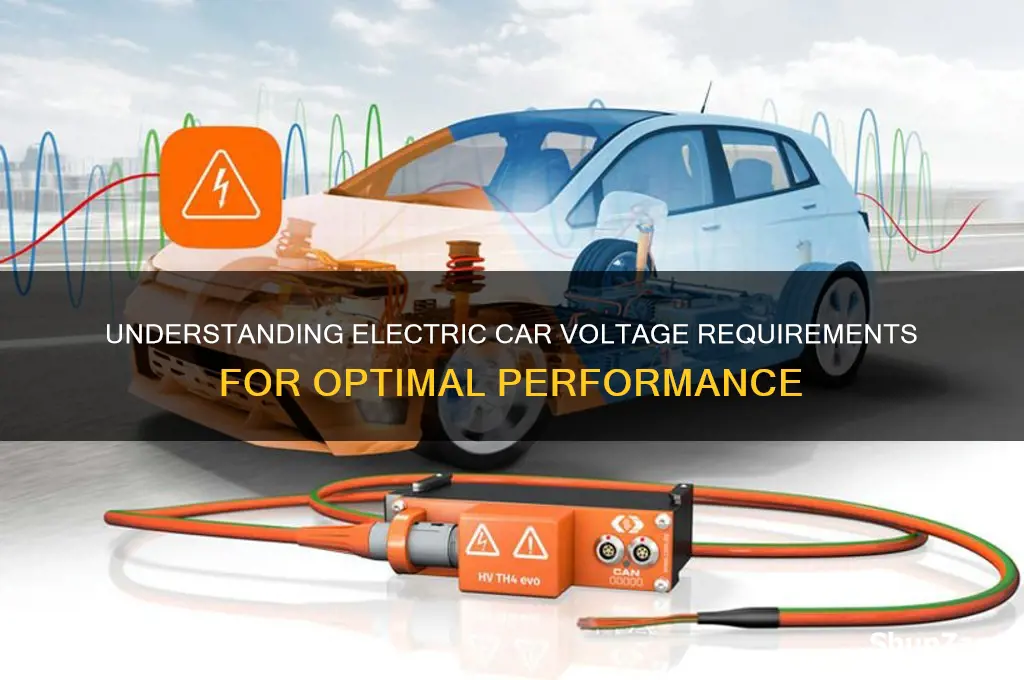 how much voltage does a electric car use