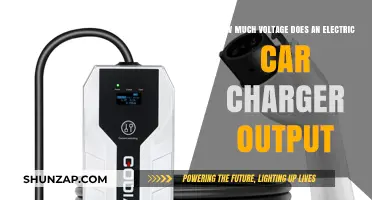 Understanding Electric Car Charger Voltage Output for Efficient Charging