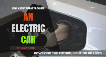 Optimal Voltage Levels for Efficient Electric Vehicle Charging Explained