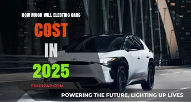 Electric Car Prices in 2025: What to Expect and Why