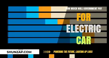 Government Incentives: How Much Can You Get for Electric Cars?