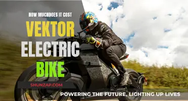 Vektor Electric Bike: How Much Does It Cost?