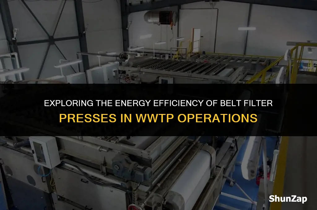 how muchg electricity does a belt filter press use wwtp