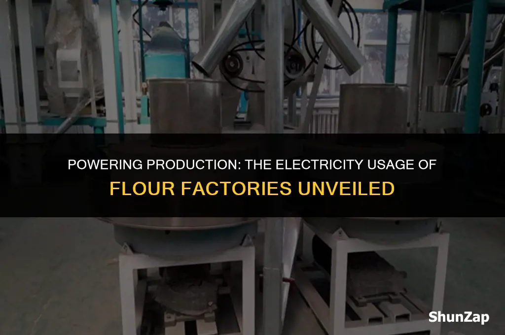 how nuch electricity does flour facturie use