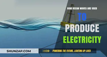 Harnessing the Power of Ocean Waves: A Sustainable Energy Revolution