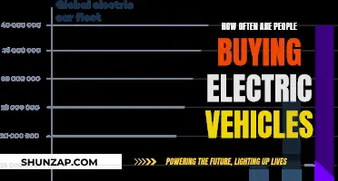 The Rise of Electric Vehicles: A Look at Purchase Trends