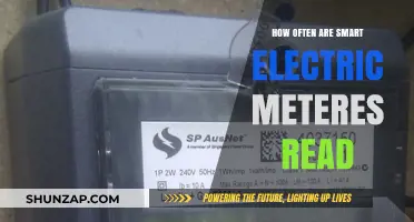 Smart Electric Meters: How Often Are They Read?