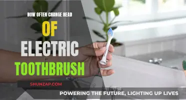Electric Toothbrush Maintenance: How Often to Change the Head?