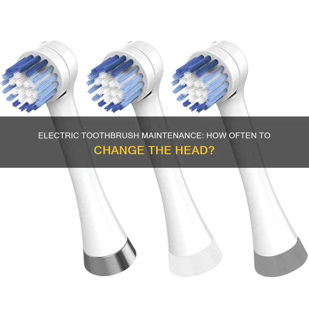 how often change head of electric toothbrush