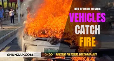 Are Electric Vehicles Prone to Catching Fire?