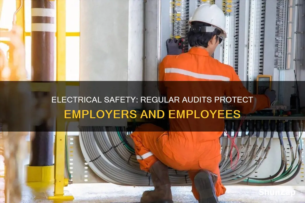 how often do employers audit electrical safety