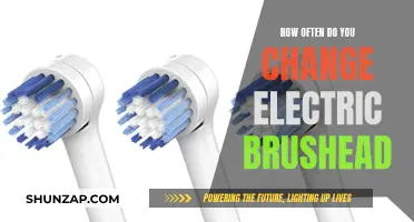 Electric Toothbrush Maintenance: How Often to Change Brush Heads?