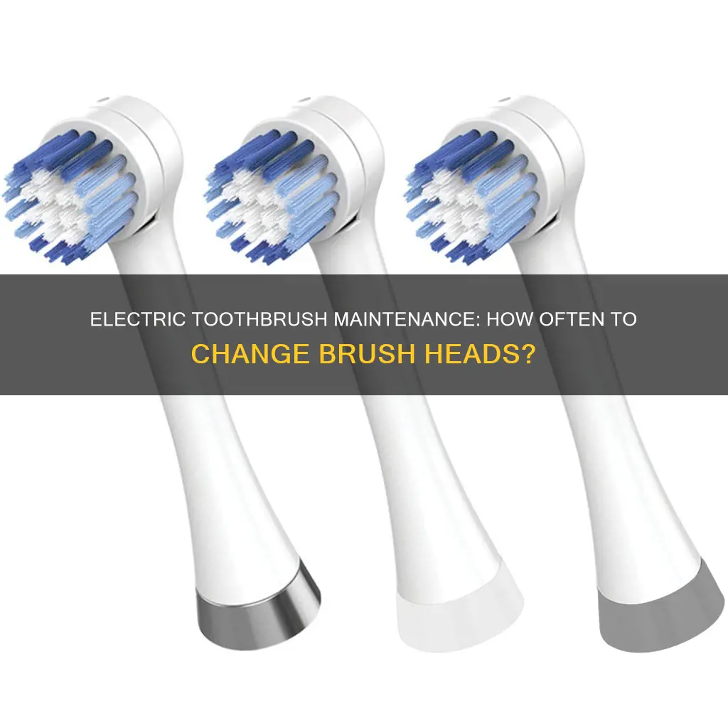 how often do you change electric brushead