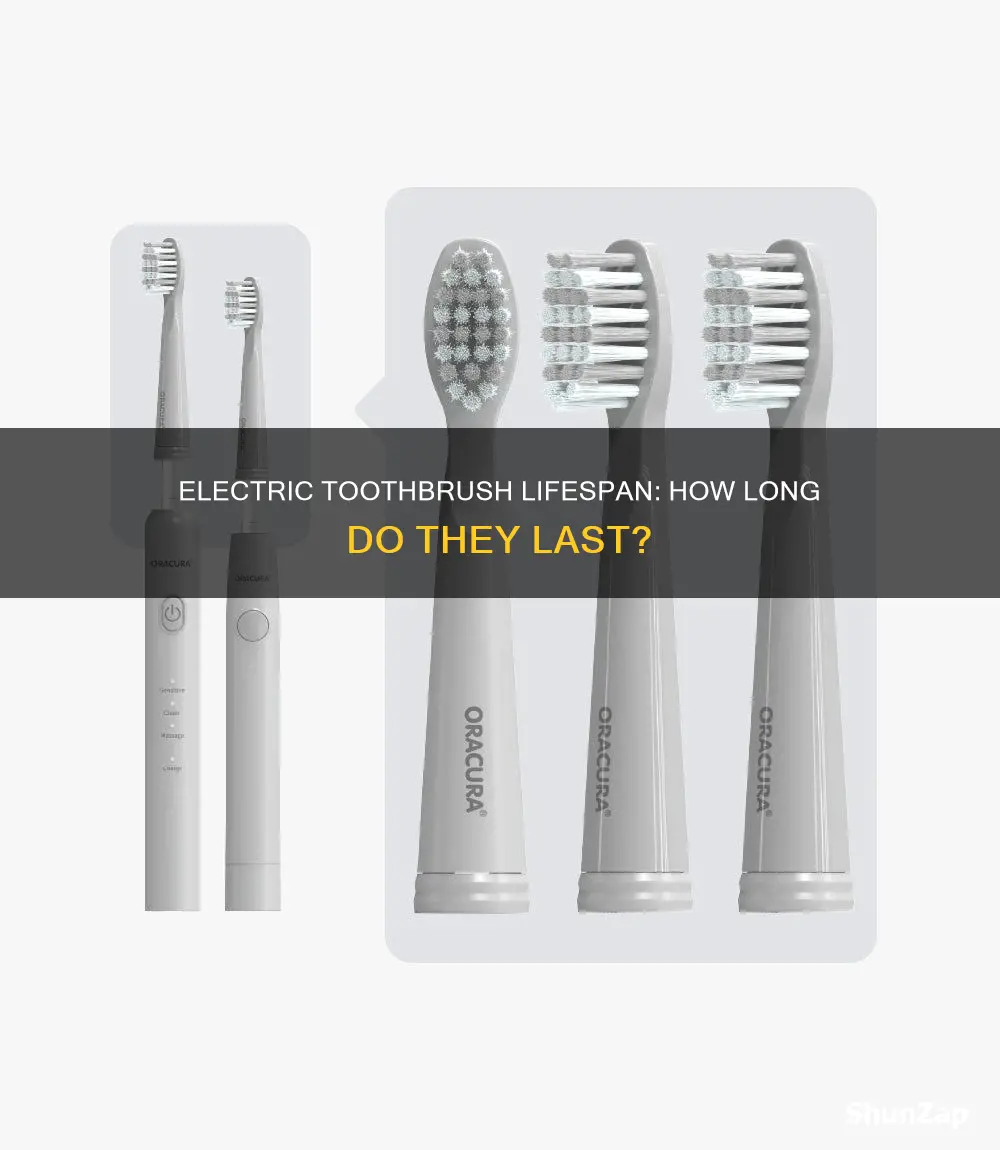 how often do you replace electric toothbrush