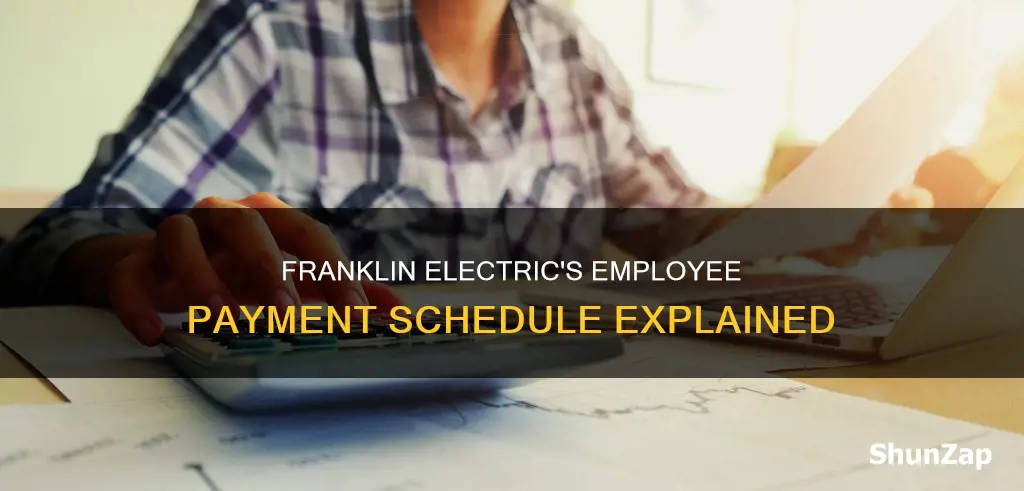how often does franklin electric pay employees
