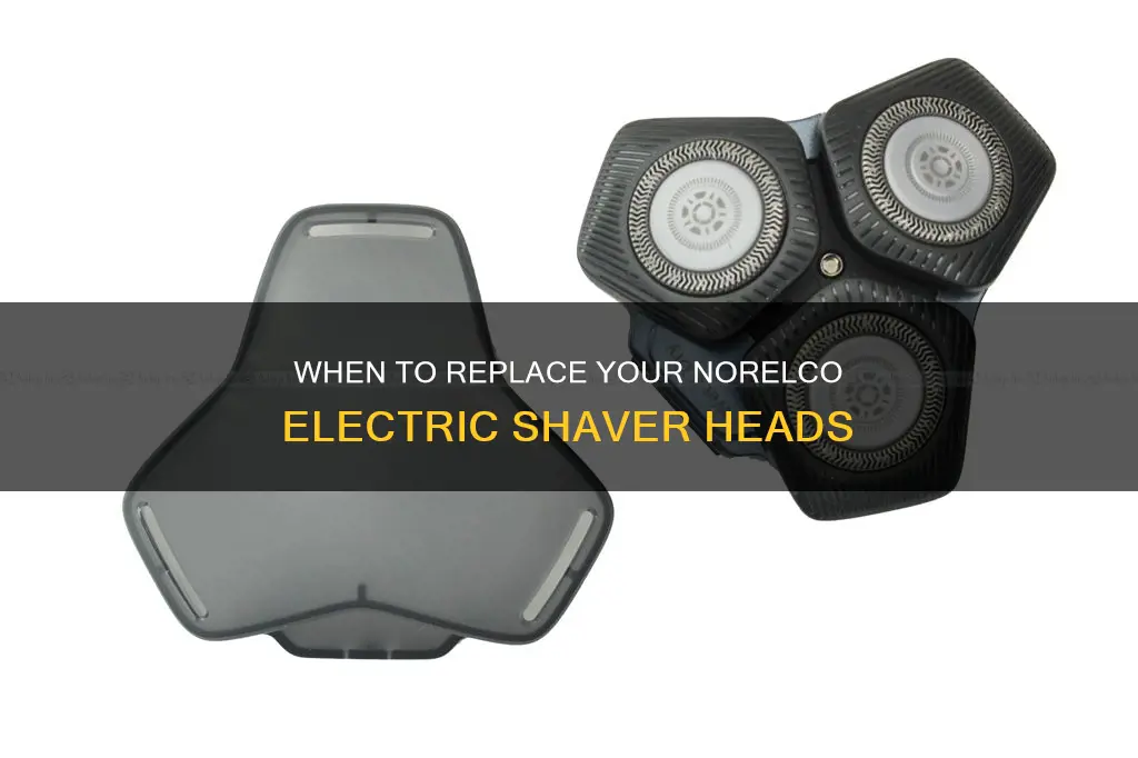 how often replace electric shaver heads norelco