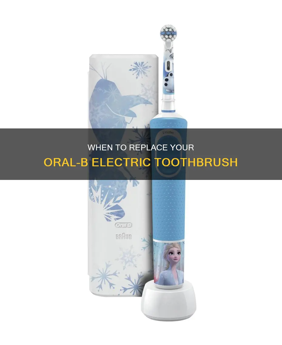how often replace oral b electric toothbrush