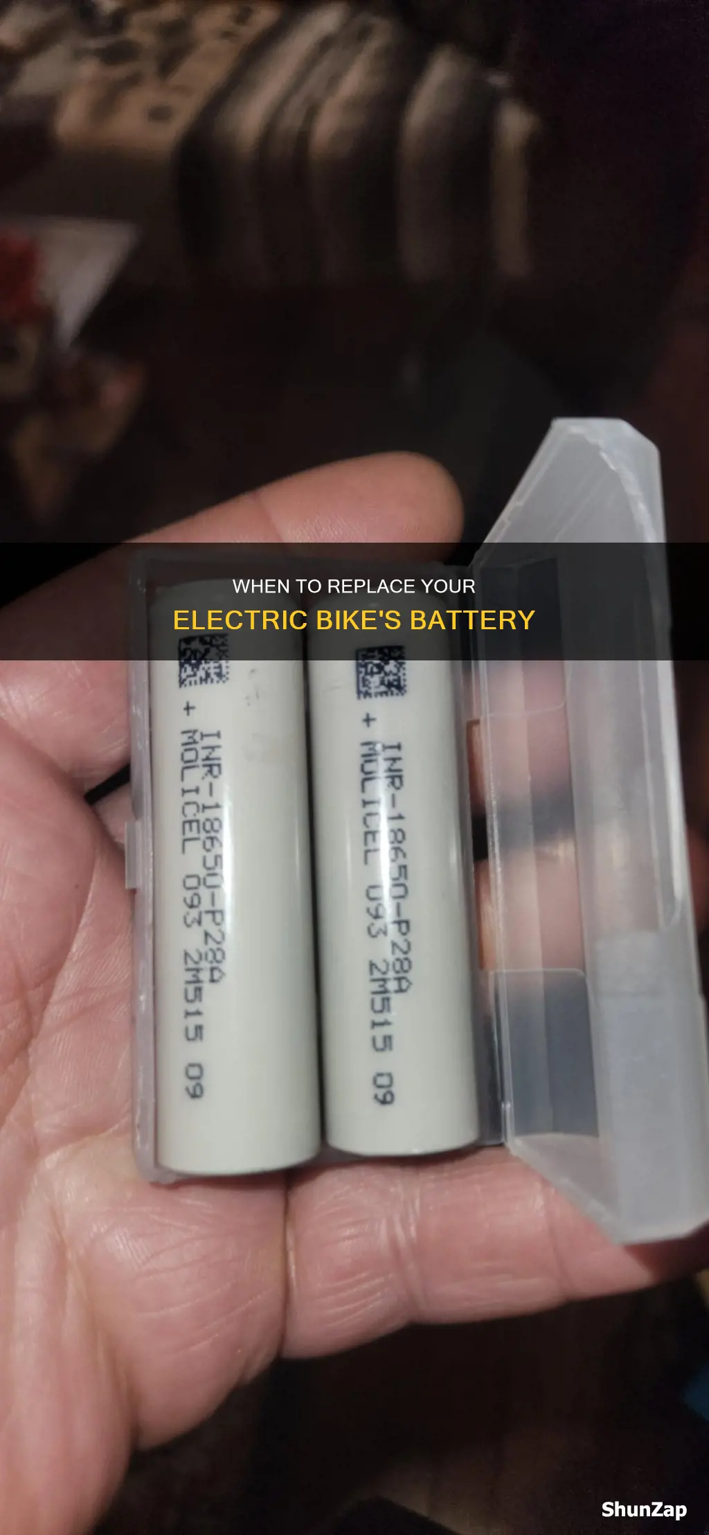 how often should you replace a battery on electric bike