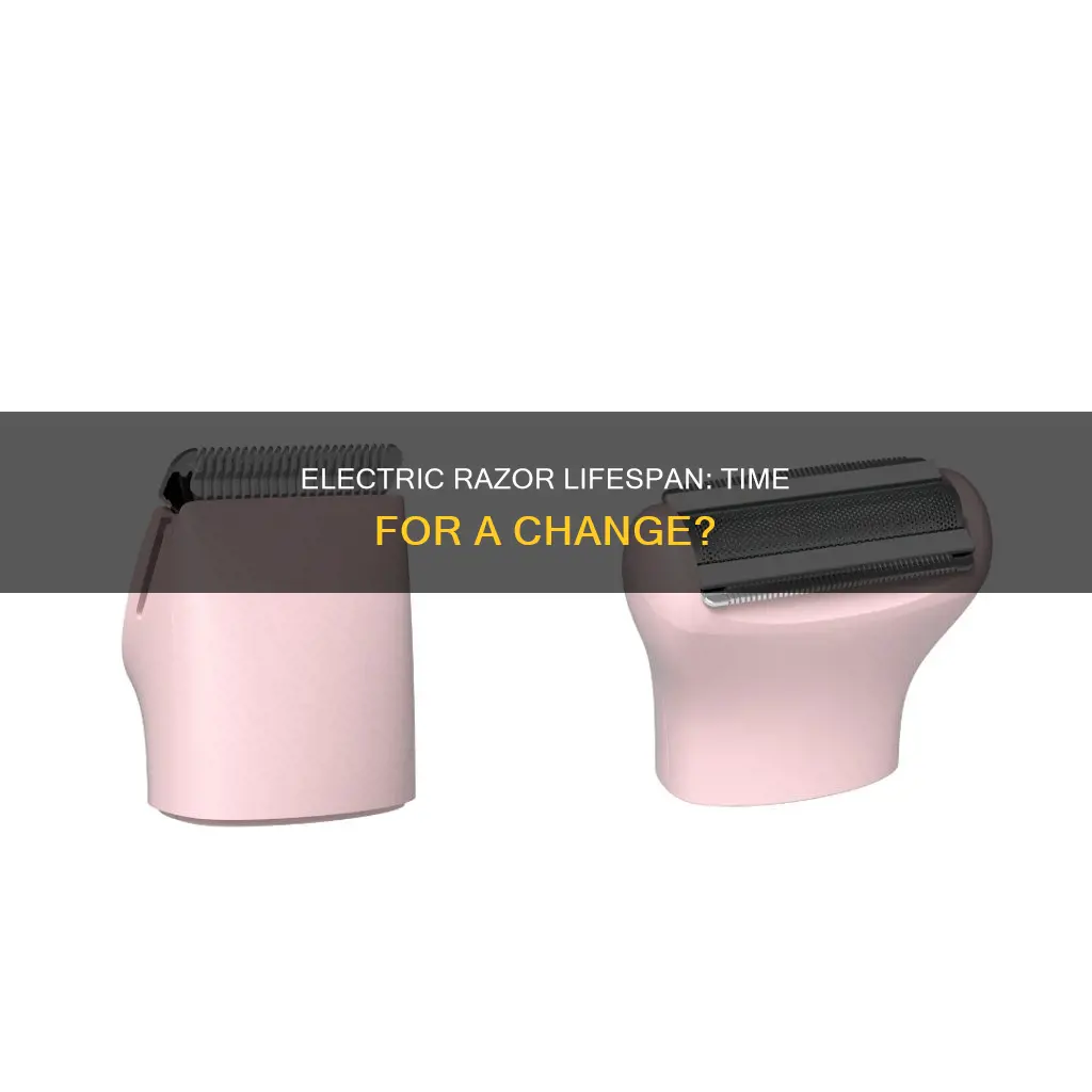 how often should you replace electric razor