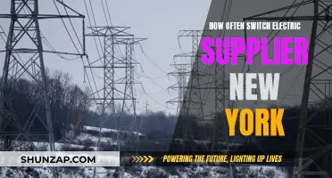 Switching Electric Suppliers in New York: How Often?