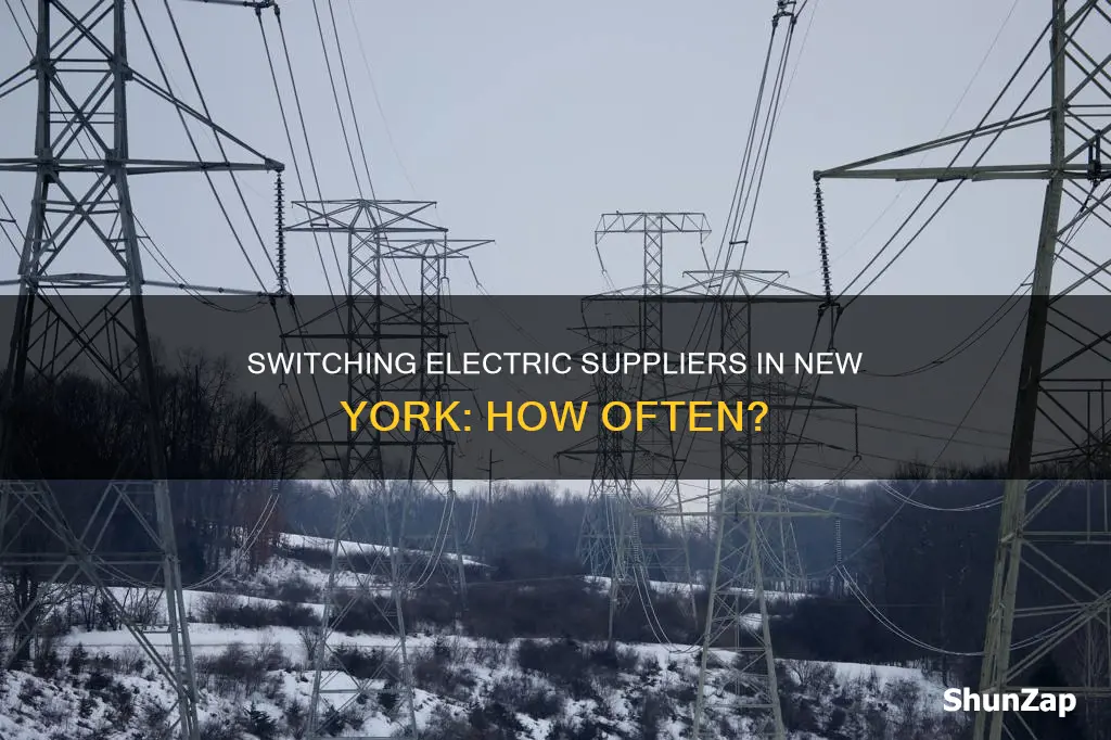 how often switch electric supplier new york