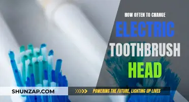 Electric Toothbrush Maintenance: How Often to Change the Brush Head?