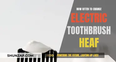 Electric Toothbrush Maintenance: How Often to Change the Brush Head?