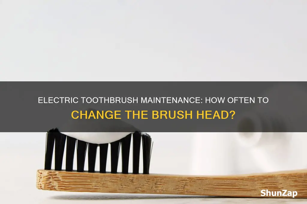 how often to change electric toothbrush heaf