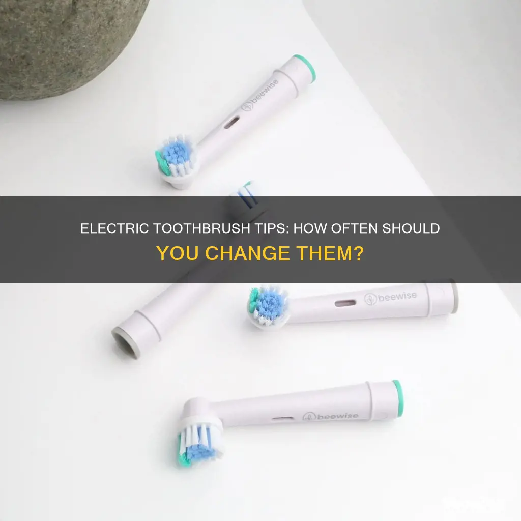how often to change electric toothbrush tip