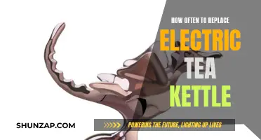 Replace Your Electric Tea Kettle: When and Why