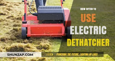 Revitalize Your Lawn: The Optimal Frequency for Electric Dethatching