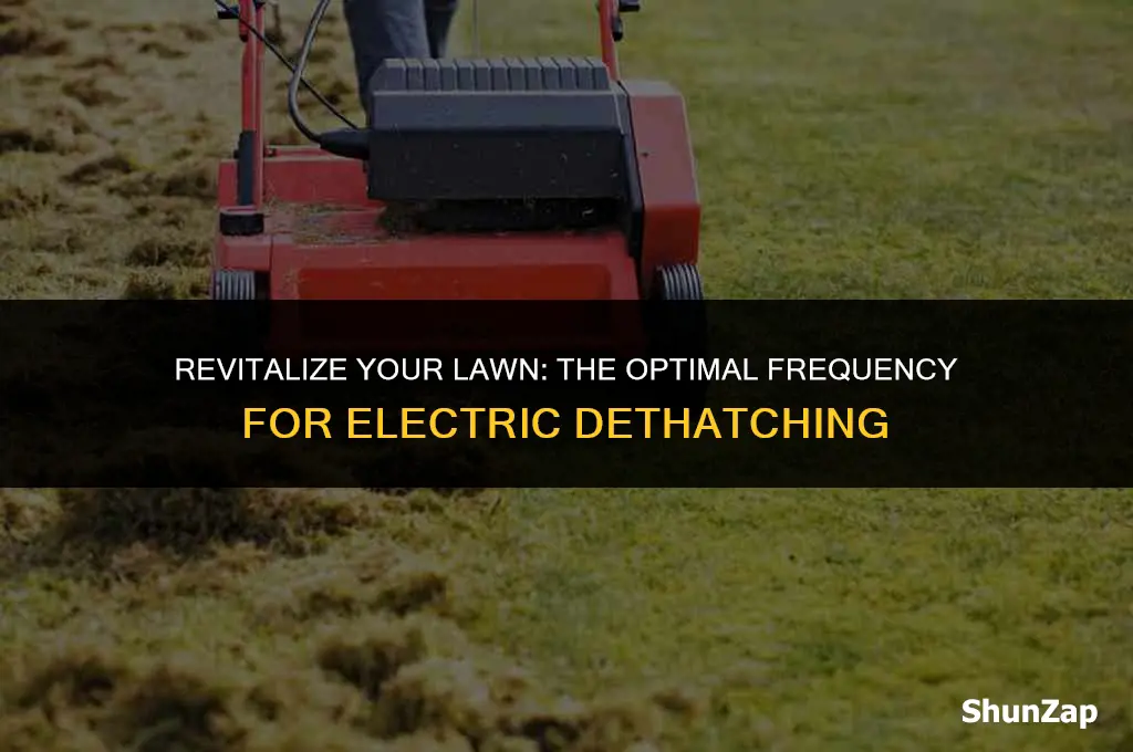 how often to use electric dethatcher