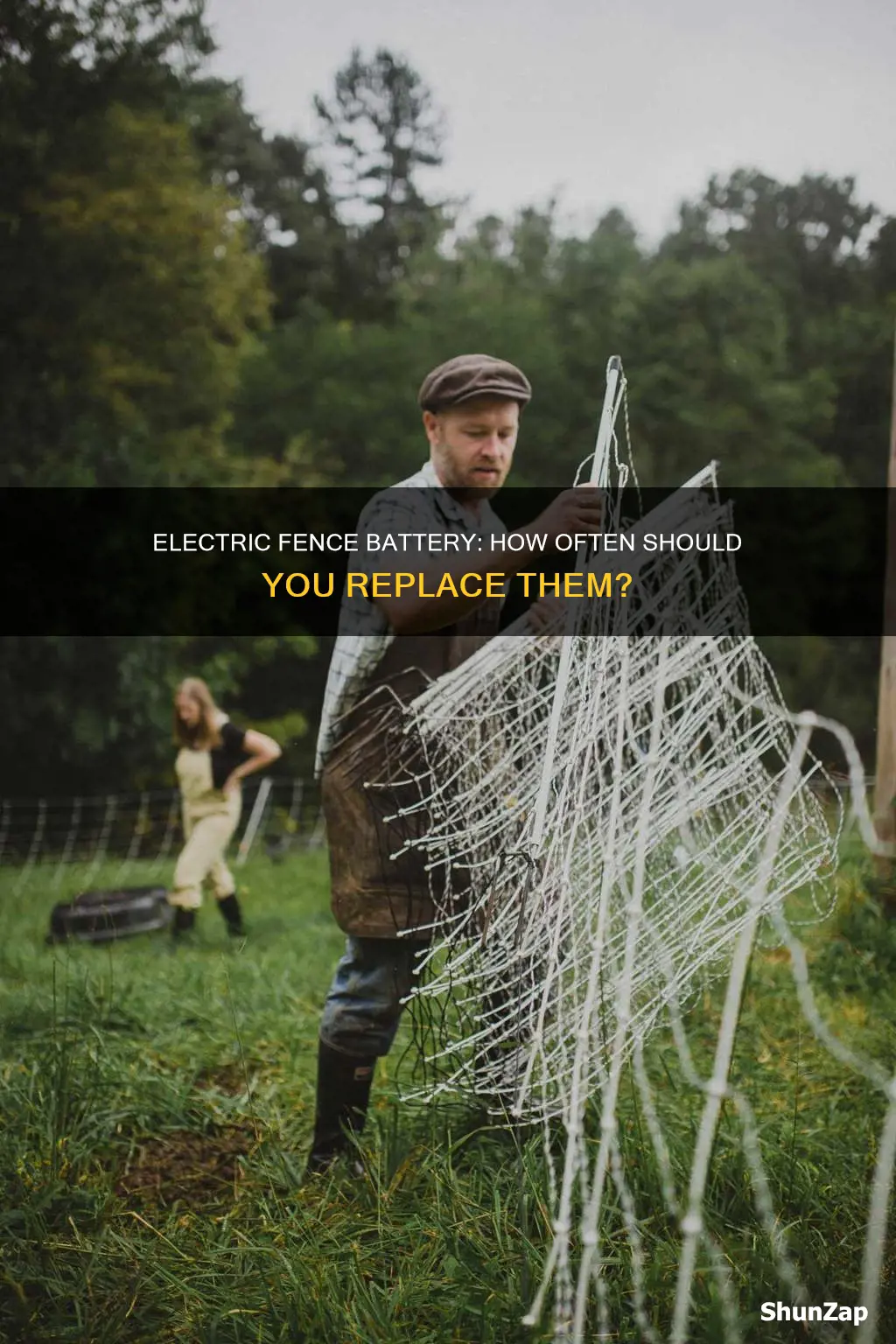 how oftern to replace electric fence battery