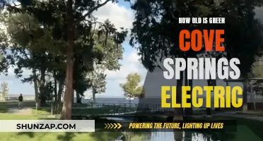 History of Green Cove Springs Electric: A Century of Service