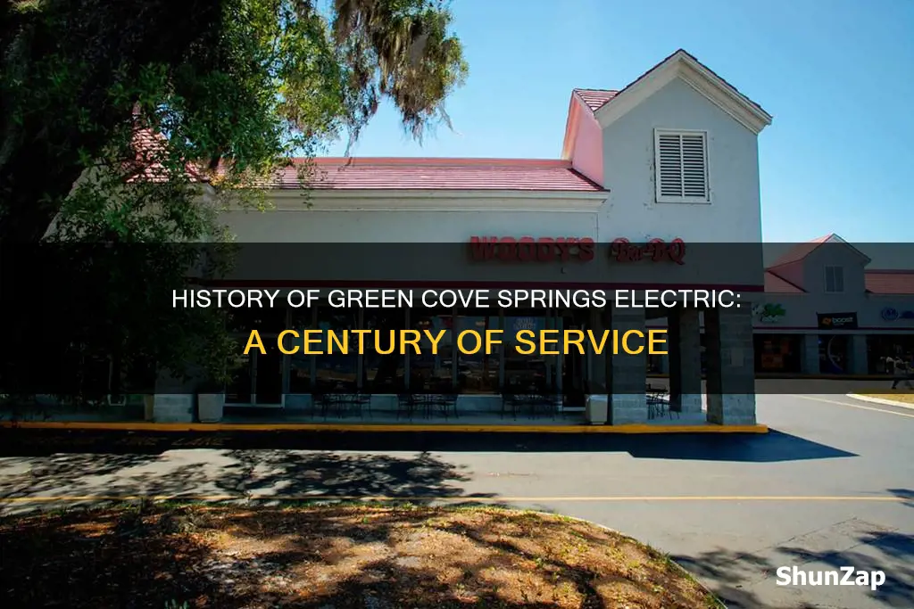 how old is green cove springs electric