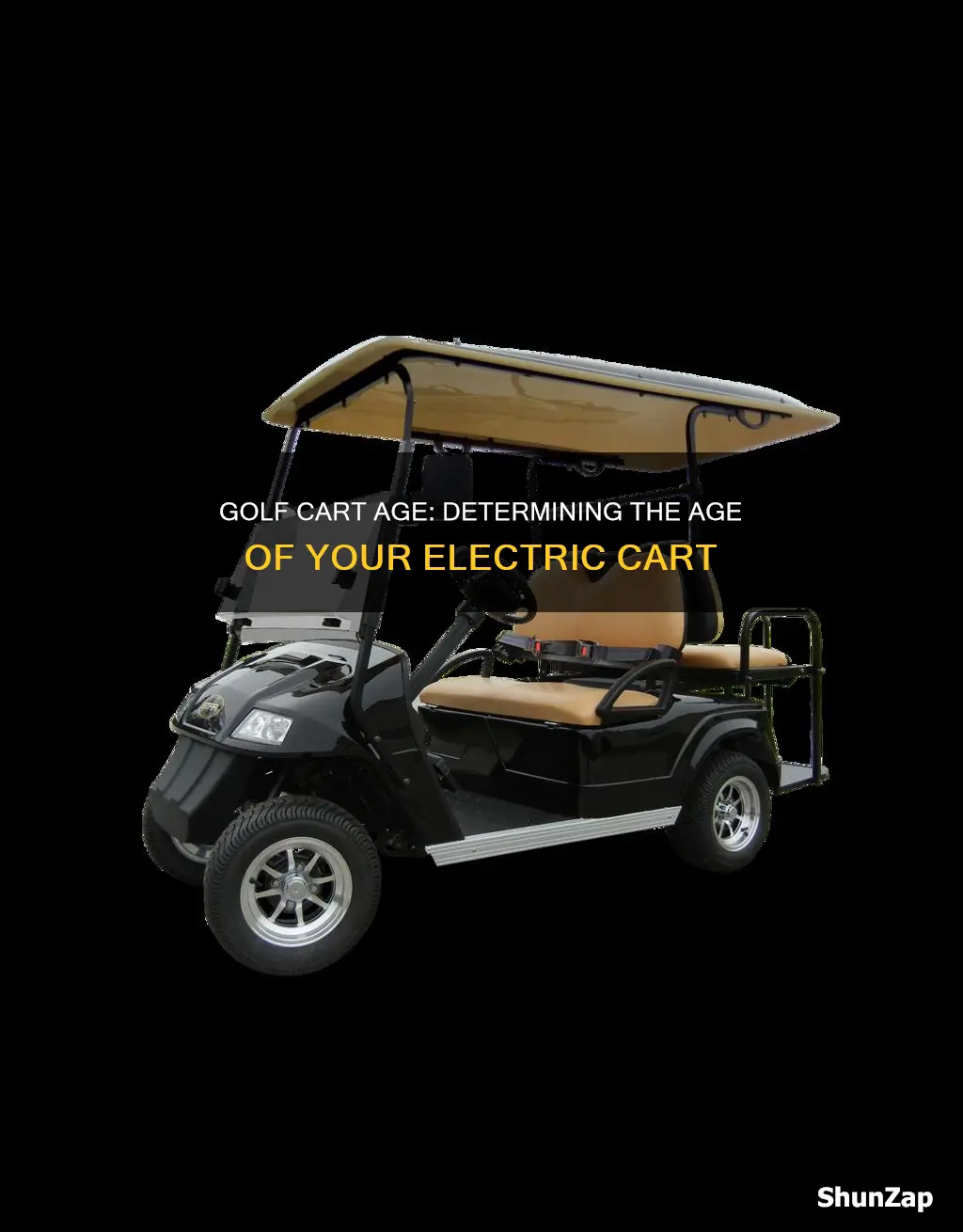 how old is my electric golf cart