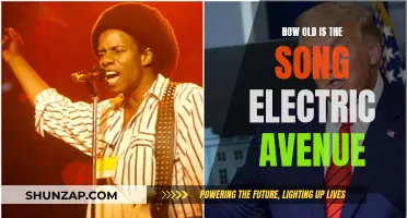 The Song Electric Avenue: A Blast from the Past