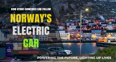 Norway's Electric Revolution: A Roadmap for Global Adoption