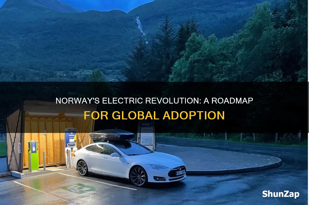 how other countries can follow norway