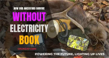 Life Before Electricity: A Survival Guide