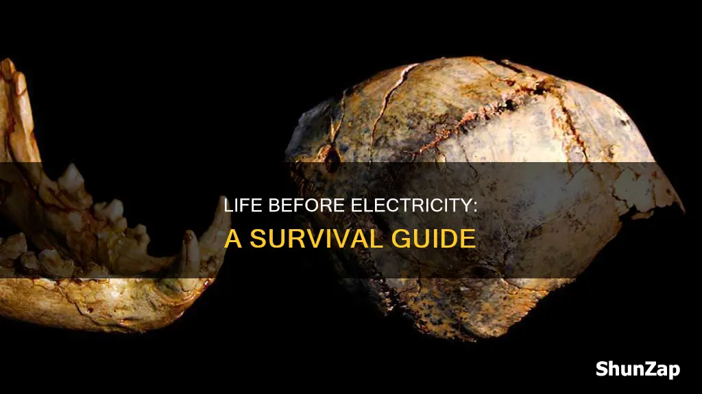 how our ancestors survive without electricity book