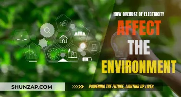 Electricity Overuse: Environmental Impact and Energy Solutions